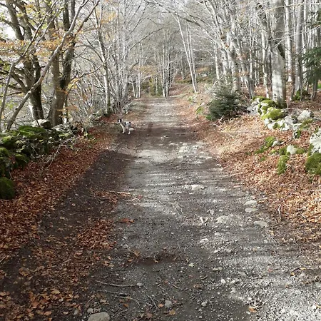 Maison De Village De 