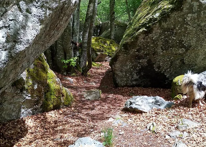 Maison De Village De 